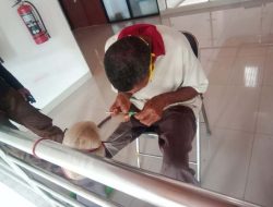 Theodorus, Pengungsi Erupsi Ile Lewotolok Yang Mengisi Waktu Dengan Memintal Jala