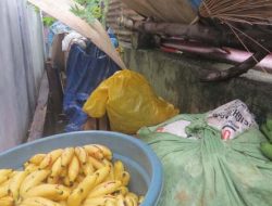 Kisah Haru Pedagang Pisang Amankan Barang Jualan di Got