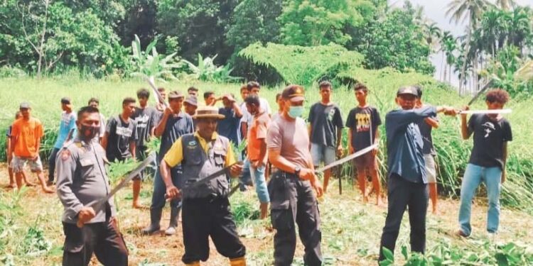 Kampung Tangguh Lamabolan – Desa Lelenbala Buka Kebun Percontohan Tanaman Hortikultura