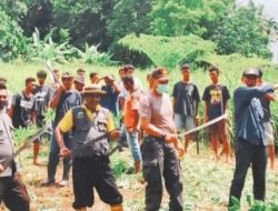 Kampung Tangguh Lamabolan – Desa Lelenbala Buka Kebun Percontohan Tanaman Hortikultura
