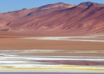 ZOI DAN KALUPI – Cerpen Bung Kanis Wahon