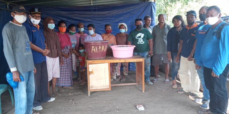 Distribusi Ikan di Hari Lahir Pancasila, NasDem Lembata Tuntaskan Kegiatan Bulan Mutu Karantina 2021