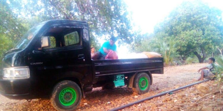 Basira, Ujung Utara Flores, Catatan Perjalanan (3) Ketika Romo Domi Tanya,“Koli Wahak Kae?”