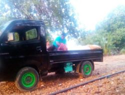 Basira, Ujung Utara Flores, Catatan Perjalanan (3) Ketika Romo Domi Tanya,“Koli Wahak Kae?”