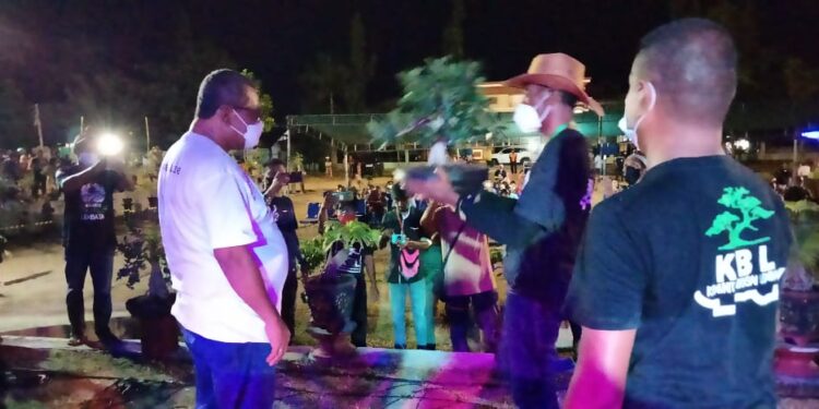 Komunitas Bonsai Lembata; Dari Jepang ke Lembata