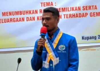 Soal Penyegelan 2 Gedung Puskesmas di Kedang; PERMATA Kupang : Pemkab Harus Segera Selesaikan Hak Kontraktor