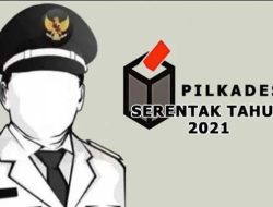 Inilah 144 Kades Terpilih di Lembata