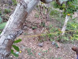 Diduga, Agustinus Leyong Tolok Dibunuh di Tempat Lain Baru Dipindahkan ke Tempat Mayat Ditemukan