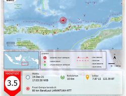 Gempa Susulan Hingga Pukul 18.43 Wita, Tercatat Sebanyak 86 Kali dengan Magnitudo Makin Kecil