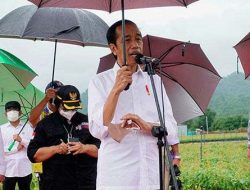 Jokowi : Presidensi G20 Indonesia Sama dengan Perjuangan Bung Karno