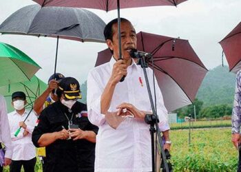 Jokowi : Presidensi G20 Indonesia Sama dengan Perjuangan Bung Karno