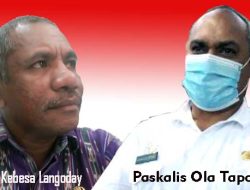 Viral, “Omelan” Sekdin Kominfo Lembata Gara-Gara tidak Dipromosikan Jadi Kepala Dinas; Sekda Tapobali : Itu Tindakan Indisipliner !