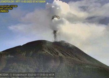 Gunung Api Lewotolok Kembali Meletus, Kolom Erupsi Hingga 1.200 Meter di Atas Puncak