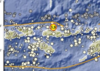 Gempa Tektonik Guncang Flores dengan 68 Kali Susulan, tidak Berpotensi Tsunami