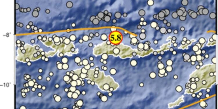 Gempa Tektonik Guncang Flores dengan 68 Kali Susulan, tidak Berpotensi Tsunami