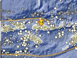 Gempa Tektonik Guncang Flores dengan 68 Kali Susulan, tidak Berpotensi Tsunami