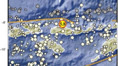 Gempa Tektonik Guncang Flores dengan 68 Kali Susulan, tidak Berpotensi Tsunami