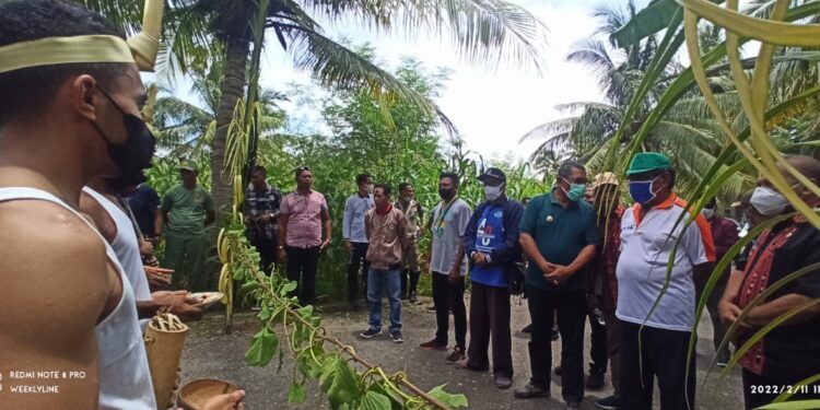 Peringati Panca Windu, AMMAPAI Kupang Tanam 5.000 Pohon Keliling Gunung Ile Ape