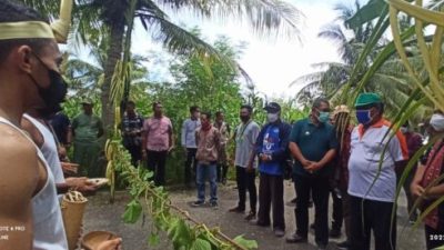 Peringati Panca Windu, AMMAPAI Kupang Tanam 5.000 Pohon Keliling Gunung Ile Ape