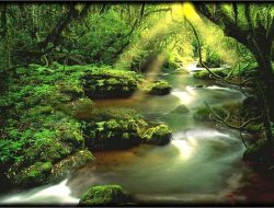 Menegakkan Harapan yang Terkapar