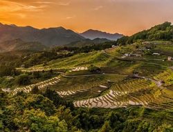 Penggarap Berlagak Pemilik karena Kesombongan