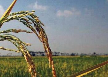 Allah Membenarkan yang Rendah Hati