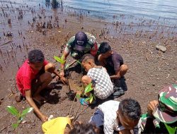 Jari Kecil Anak Pesisir di  Flores Timur Melawan Abrasi, Babinsa Ajak Warga Tanam Pohon
