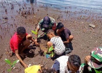 Jari Kecil Anak Pesisir di Flores Timur Melawan Abrasi, Babinsa Ajak Warga Tanam Pohon