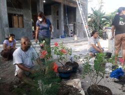 Giat Pertama 2022, Komunitas Bonsai Lembata Hijaukan Halaman Kapela Waikilok