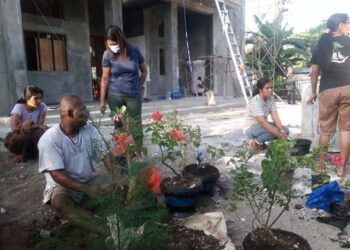 Giat Pertama 2022, Komunitas Bonsai Lembata Hijaukan Halaman Kapela Waikilok