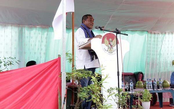 Gubernur VBL Apresiasi Pemkab Flotim Berhasil Tekan Angka Stunting