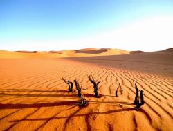 Allah Menguji Kehidupan Tetapi tidak Membinasakan