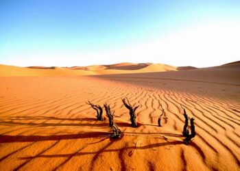 Allah Menguji Kehidupan Tetapi tidak Membinasakan