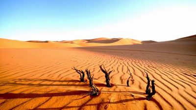 Allah Menguji Kehidupan Tetapi tidak Membinasakan