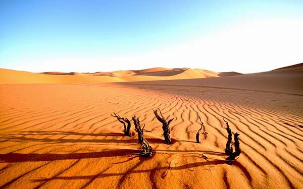 Allah Menguji Kehidupan Tetapi tidak Membinasakan