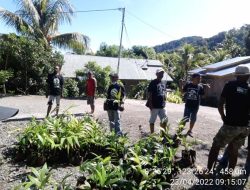 Mengisi Hari Bumi, KBL Tanam 300 Anakan Pinang Lokal di Mata Air Lite Ulumado