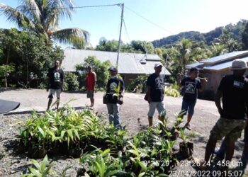 Mengisi Hari Bumi, KBL Tanam 300 Anakan Pinang Lokal di Mata Air Lite Ulumado