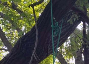 Sebab Kematian Bendahara Pimpinan Setda Lembata Masih Tersungkup Misteri