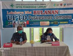 Puskesmas Lamau – Ile Ape Timur Gagas Program Kesehatan Terintegrasi