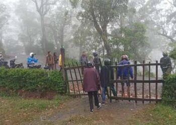 Cagar Alam Mutis, Apa Kabarmu Kini ?