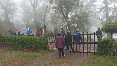 Cagar Alam Mutis, Apa Kabarmu Kini ?