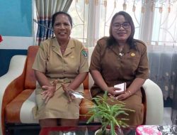 Kekerasan Terhadap Ibu dan Anak di Flores Timur, 2021 Terjadi 31 Kasus, 2022 Turun Jadi 4 Kasus