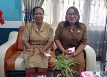 Kekerasan Terhadap Ibu dan Anak di Flores Timur, 2021 Terjadi 31 Kasus, 2022 Turun Jadi 4 Kasus