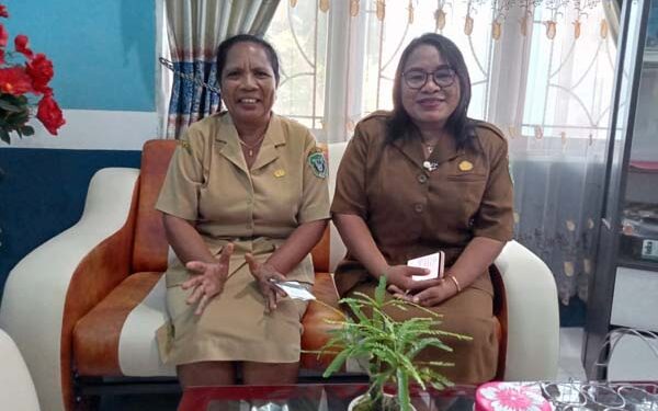 Kekerasan Terhadap Ibu dan Anak di Flores Timur, 2021 Terjadi 31 Kasus, 2022 Turun Jadi 4 Kasus