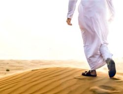 Musafir Kasih Tanpa Tempat Meletakkan Kepala