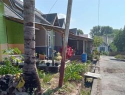 Miris, 300 Warga Pohon Bao – Flotim Alami Kesulitan Air Bersih