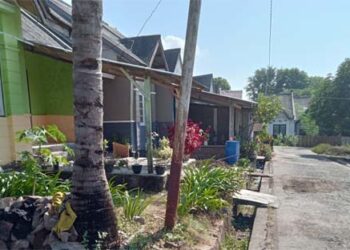 Miris, 300 Warga Pohon Bao – Flotim Alami Kesulitan Air Bersih