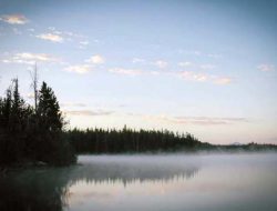 Butuh Hati yang Baru