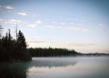 Butuh Hati yang Baru