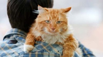 Berilah Bahu untuk Saling Meringankan Beban